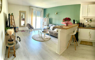  Appartement � vendre 2 pi�ces 45 m�