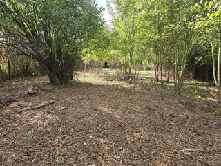  Maison � vendre 6 pi�ces 162 m�