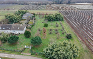  Maison � vendre 9 pi�ces 285 m�