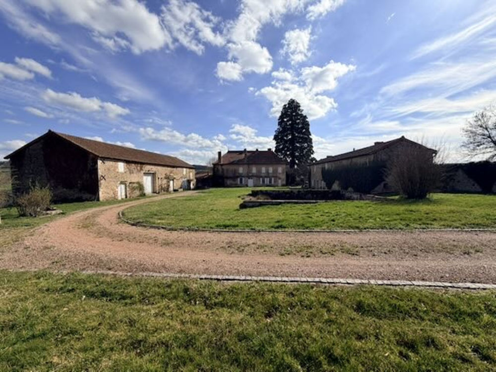 � vendre  Propri�t�/ch�teau Saint-Maurice-l�s-Ch�teauneuf (71740)