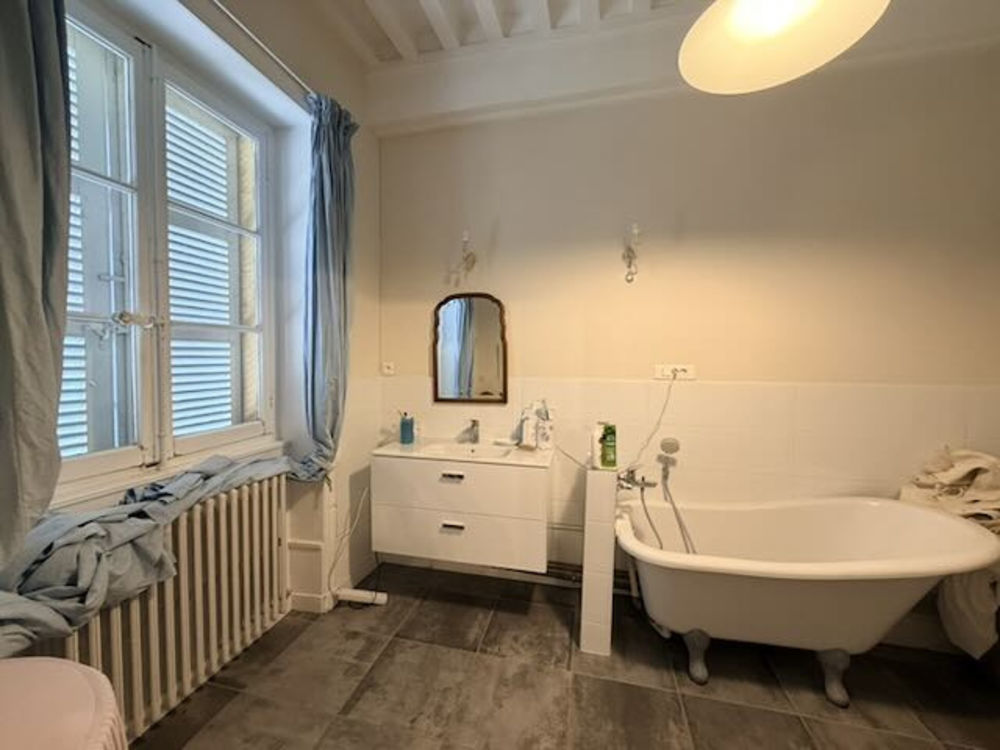 � vendre  Propri�t�/ch�teau Saint-Maurice-l�s-Ch�teauneuf (71740)