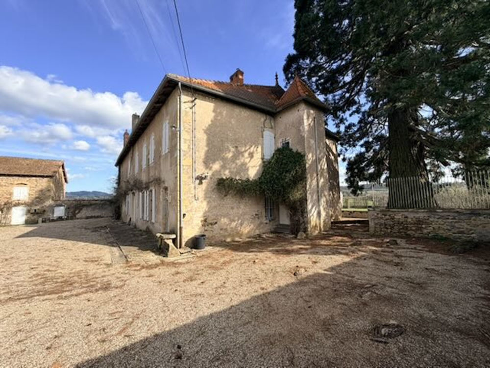 � vendre  Propri�t�/ch�teau Saint-Maurice-l�s-Ch�teauneuf (71740)