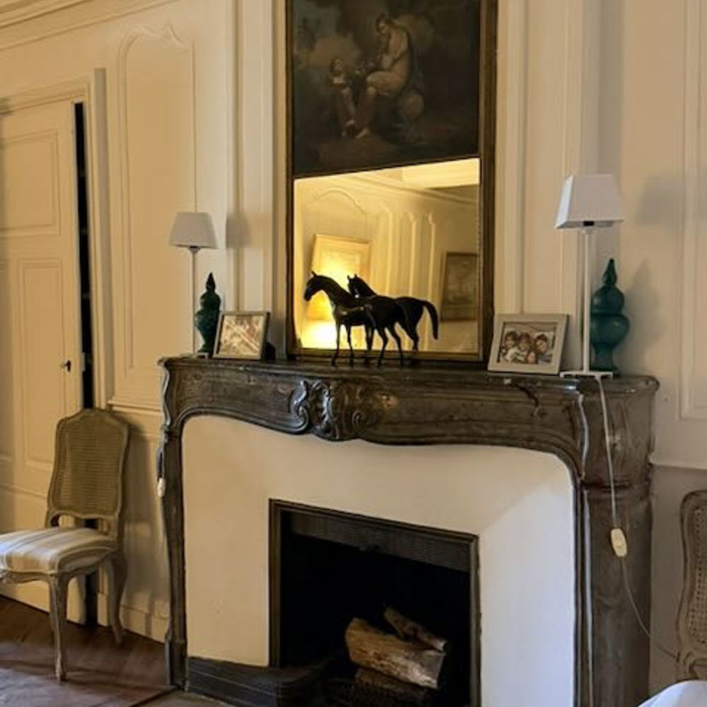 � vendre  Propri�t�/ch�teau Saint-Maurice-l�s-Ch�teauneuf (71740)