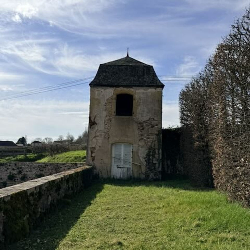 � vendre  Propri�t�/ch�teau Saint-Maurice-l�s-Ch�teauneuf (71740)