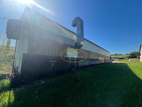 BATIMENTS INDUSTRIELS AVEC BUREAUX 160000 55300 St mihiel