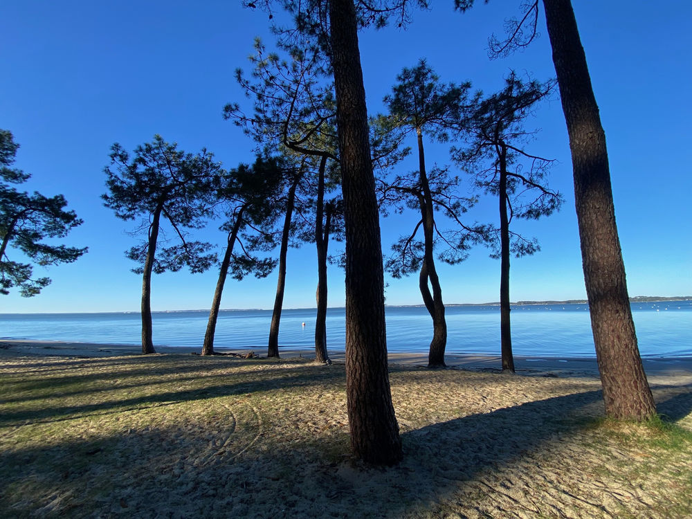 � vendre  Maison Ar�s (33740)