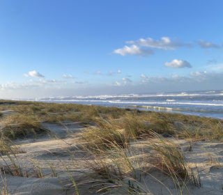  Propri�t�/ch�teau � vendre 6 pi�ces 248 m�