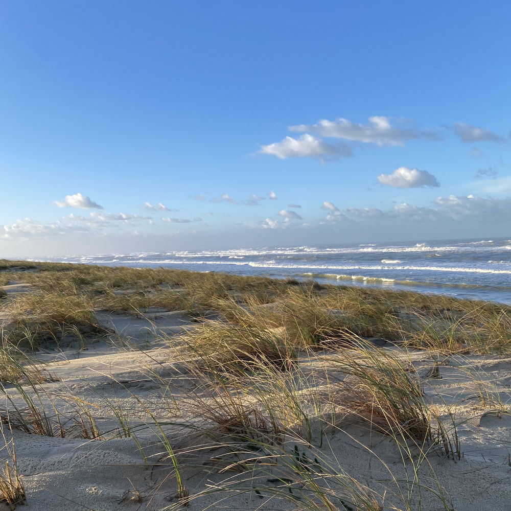 � vendre  Propri�t�/ch�teau L�ge-Cap-Ferret (33950)