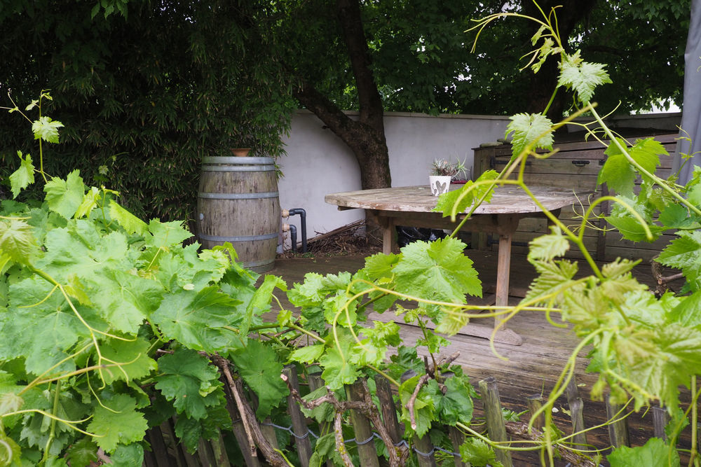 � vendre  Maison Le Bouscat (33110)