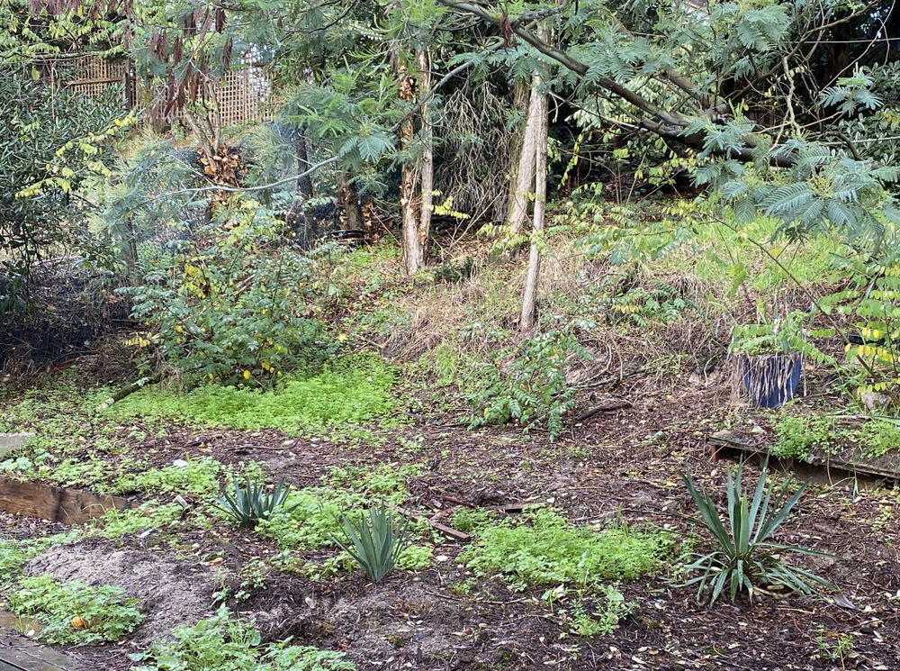 � vendre  Maison L�ge-Cap-Ferret (33950)