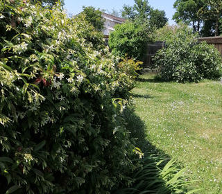  Maison � vendre 3 pi�ces 60 m�