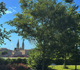  Appartement � vendre 5 pi�ces 87 m� Bordeaux