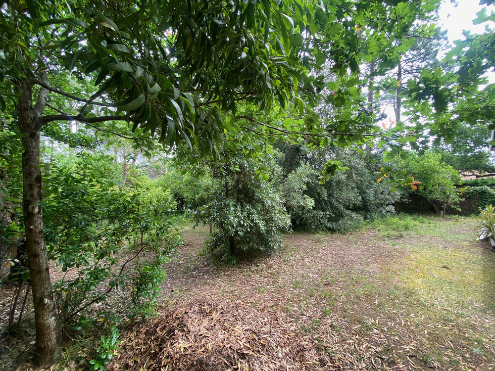 � vendre  Maison L�ge-Cap-Ferret (33950)