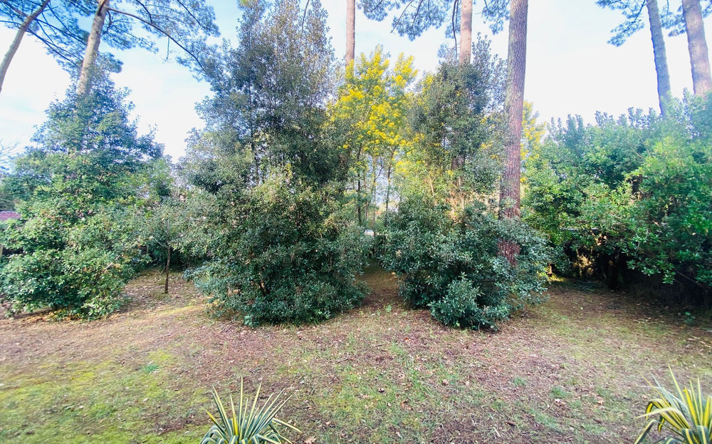 � vendre  Maison L�ge-Cap-Ferret (33950)