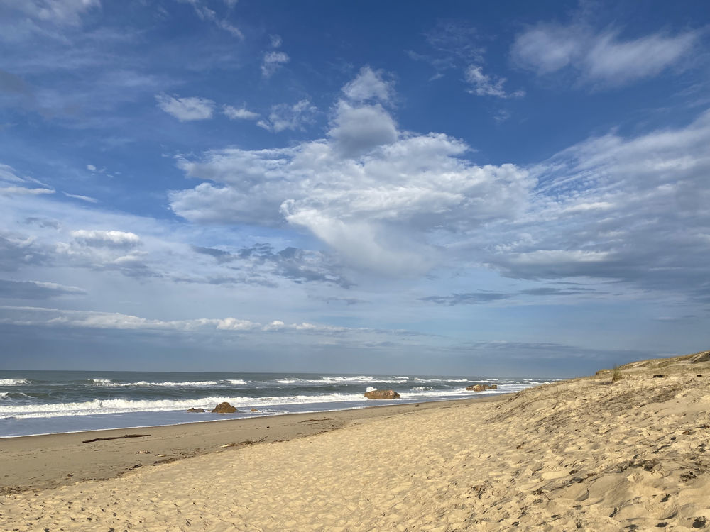 � vendre  Maison L�ge-Cap-Ferret (33950)