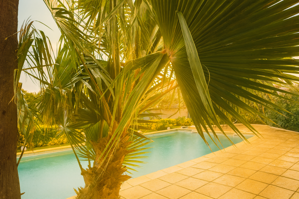 � vendre  Maison Pignan (34570)