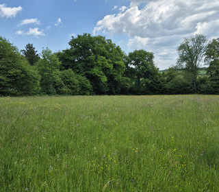  Terrain � vendre 4165 m�