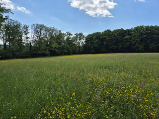  Terrain � vendre 4165 m�