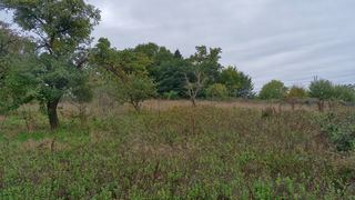  Terrain � vendre 4055 m�