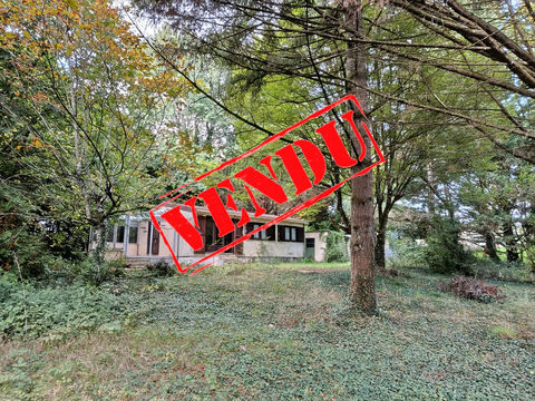   Bungallow bois avec eau et �lectricit�, 2 chambres au milieu des bois. Maison - 3 pi�ce(s) - 46 m�