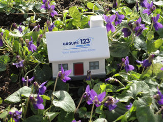  Terrain � vendre 8063 m�