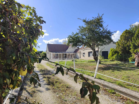   Maison de 250 m2 dans un havre de paix - 2,4 hectares de terrain. Maison - 7 pi�ce(s) - 253 m�