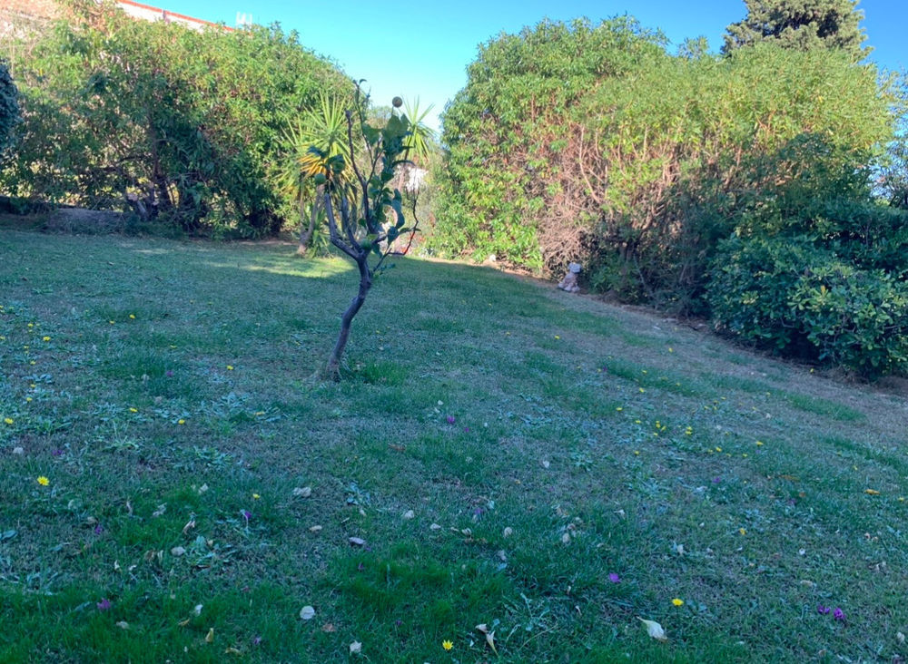 � vendre  Maison L'�le-Rousse (20220)