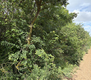  Terrain � vendre 3800 m�