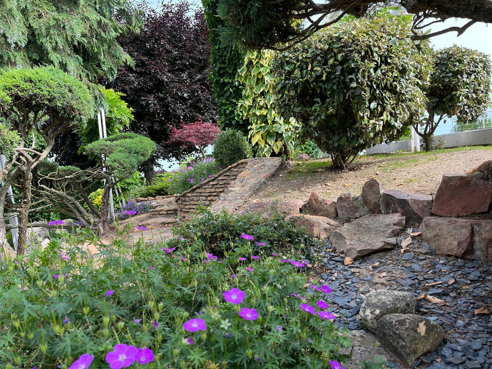 � vendre  Propri�t�/ch�teau Roanne (42300)