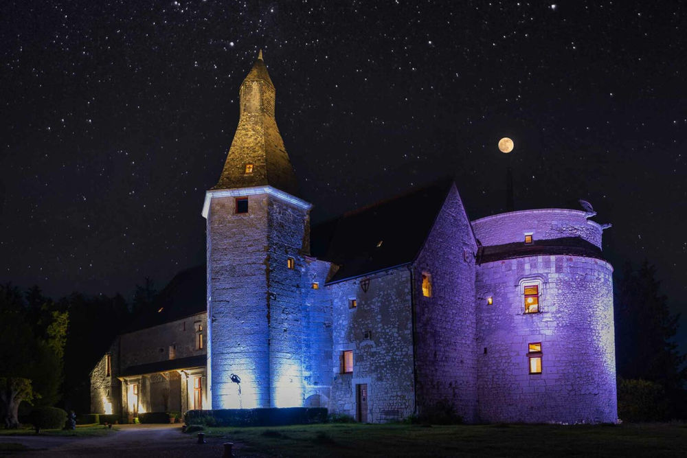 � vendre  Propri�t�/ch�teau Vou (37240)