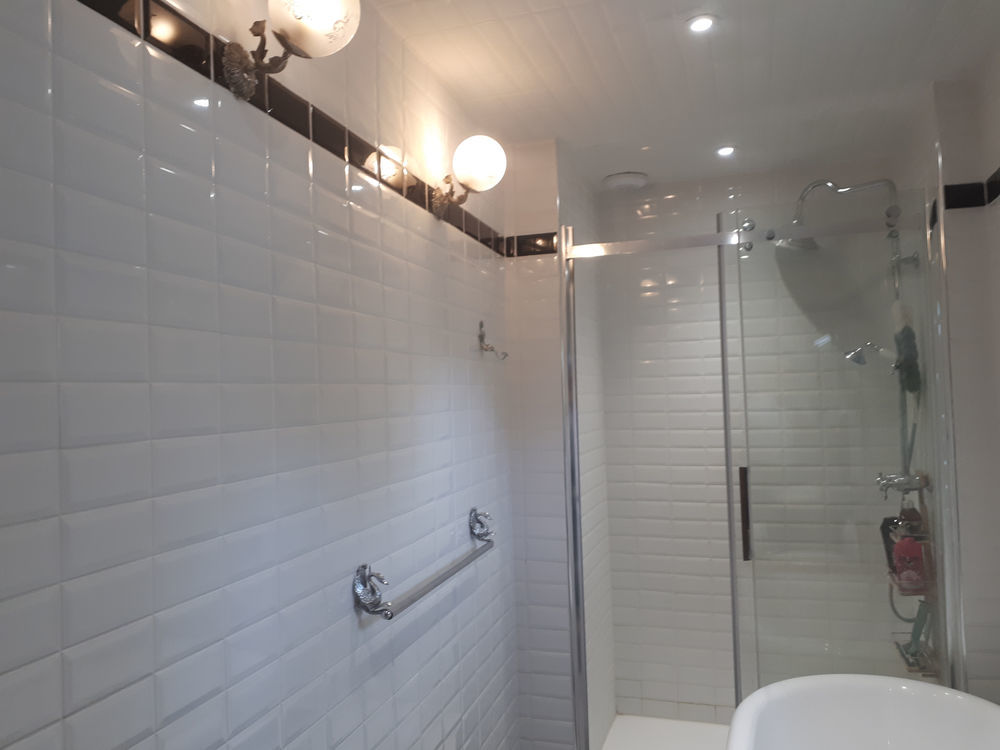 � vendre  Propri�t�/ch�teau Vou (37240)