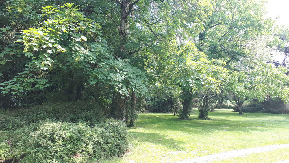 � vendre  Propri�t�/ch�teau Sainte-Maure-de-Touraine (37800)