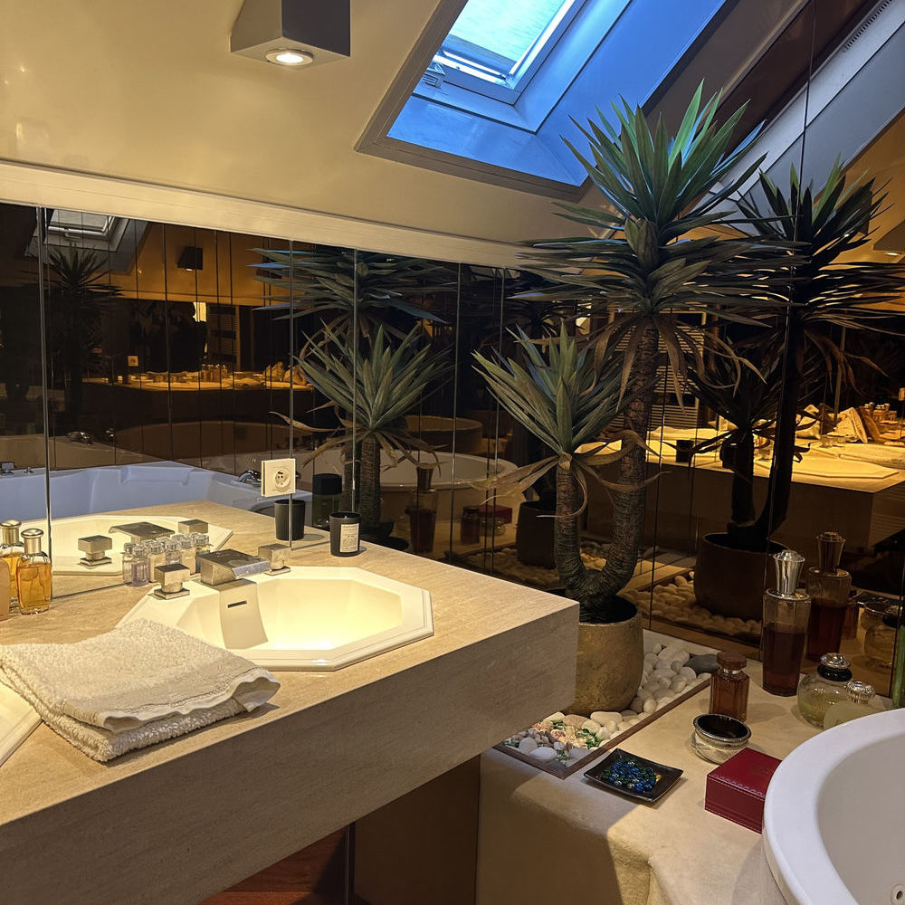 � vendre  Propri�t�/ch�teau Roanne (42300)