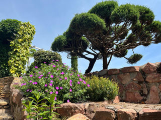  Propri�t�/ch�teau � vendre 6 pi�ces 240 m�