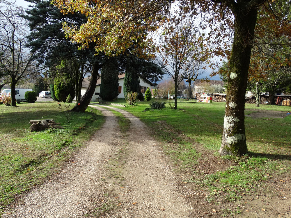 � vendre  Maison La Buisse (38500)