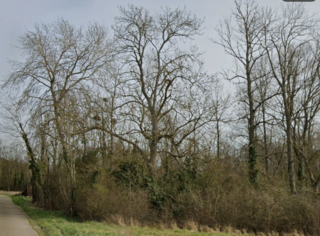  Terrain � vendre 2730 m�