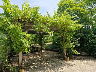  Maison � vendre 9 pi�ces 250 m�