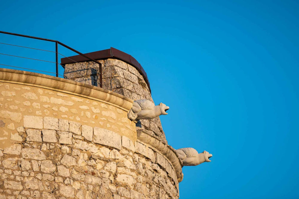 � vendre  Propri�t�/ch�teau Vou (37240)