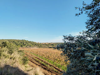  Terrain � vendre 4950 m�