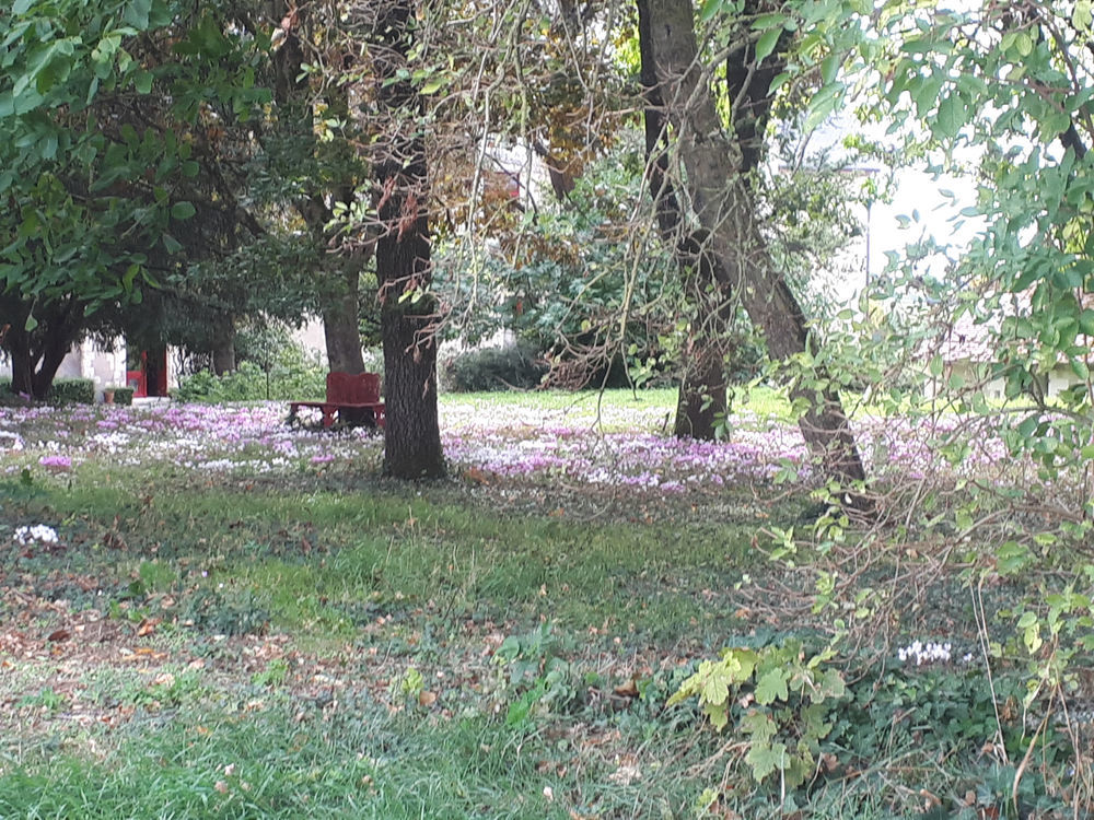 � vendre  Propri�t�/ch�teau Vou (37240)