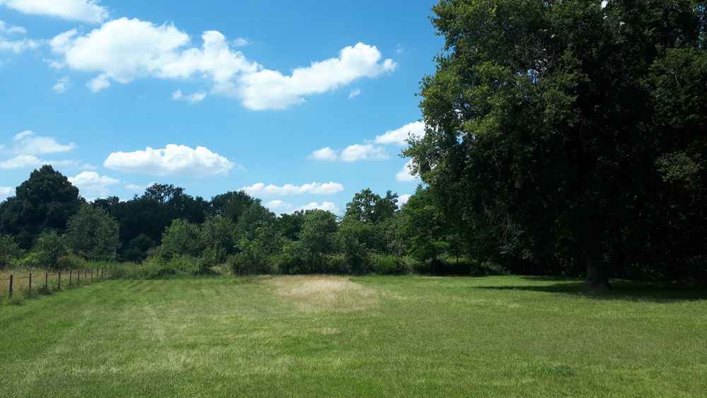 � vendre  Propri�t�/ch�teau Sainte-Maure-de-Touraine (37800)