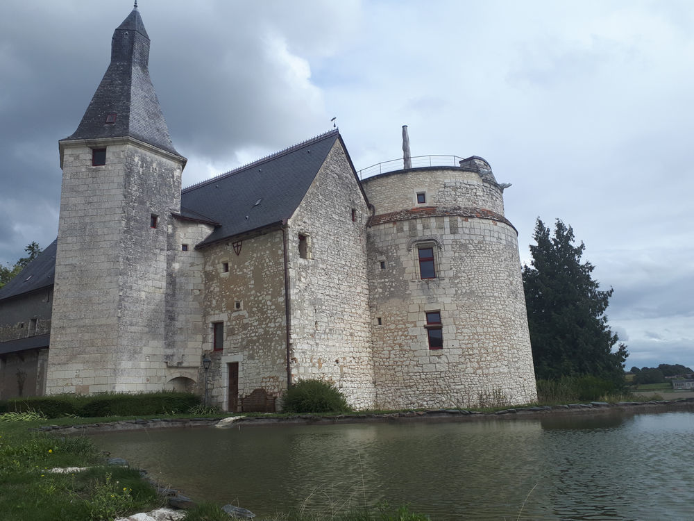 � vendre  Propri�t�/ch�teau Vou (37240)