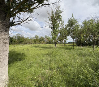  Terrain � vendre 3800 m�