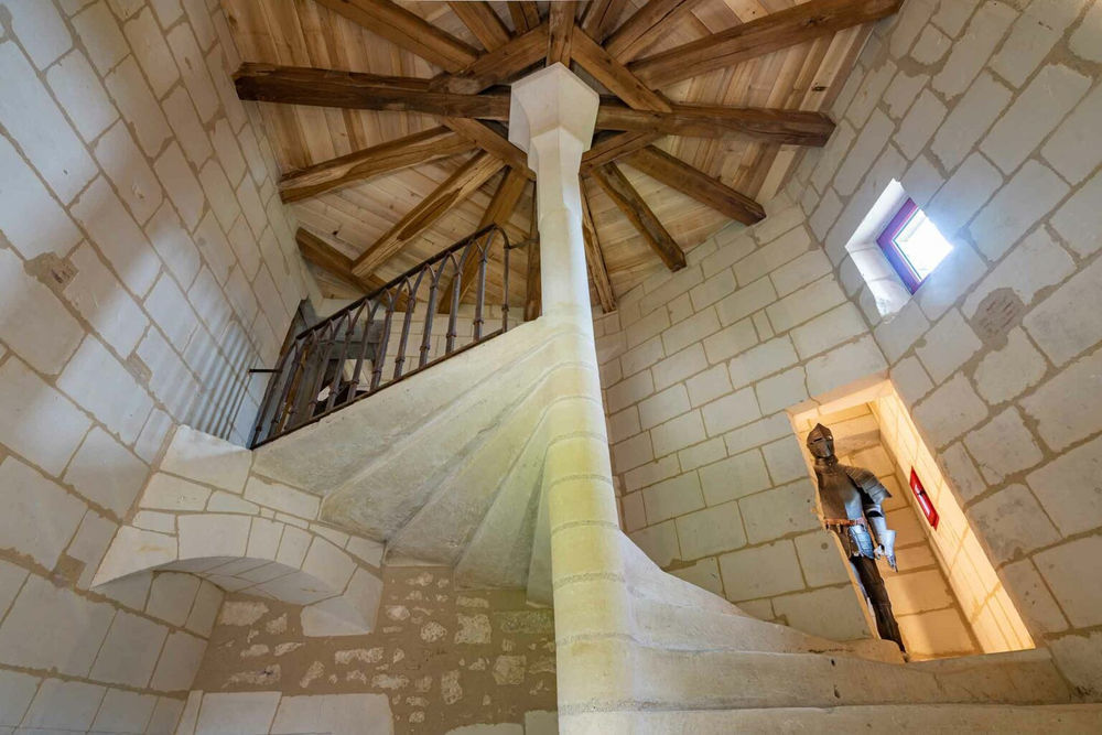 � vendre  Propri�t�/ch�teau Vou (37240)