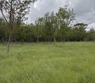  Terrain � vendre 3800 m�