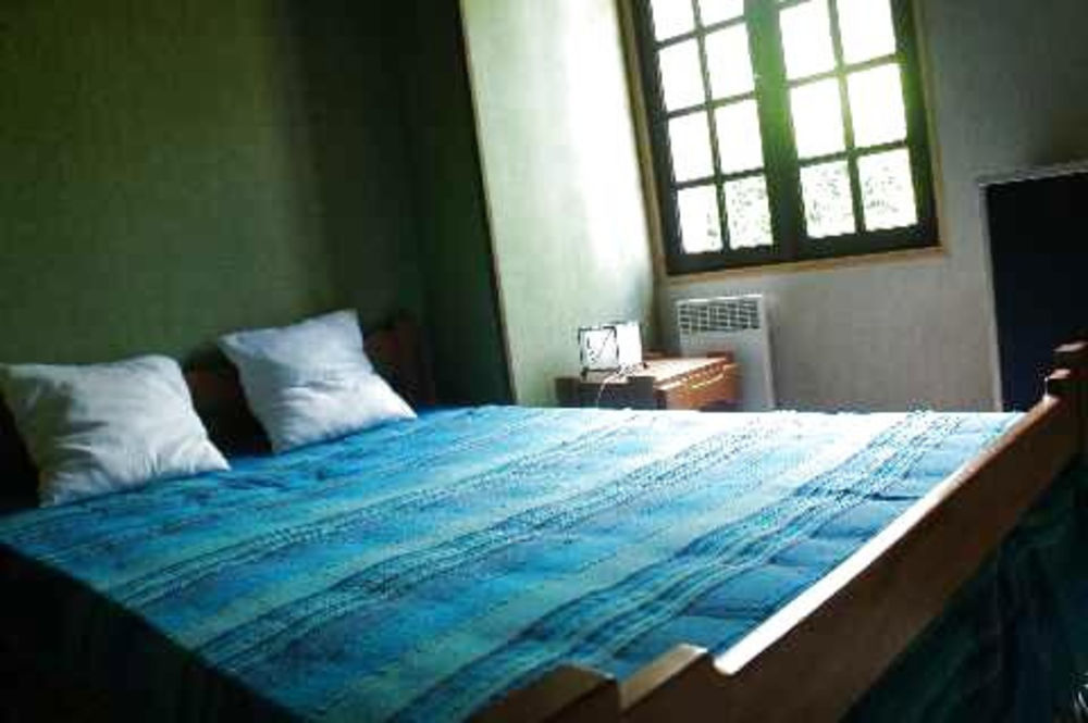 � vendre  Propri�t�/ch�teau Sainte-Maure-de-Touraine (37800)