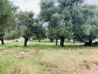  Terrain � vendre 3000 m�