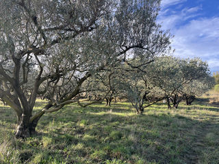  Terrain � vendre 2606 m�