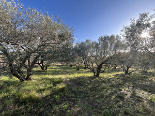  Terrain � vendre 2606 m�