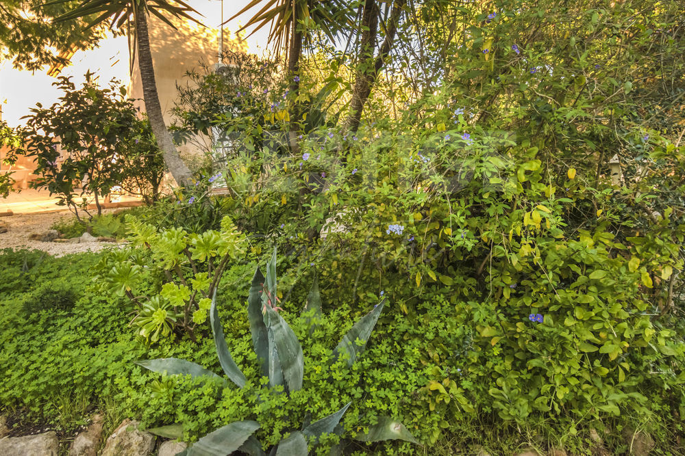 � vendre  Maison Hy�res (83400)